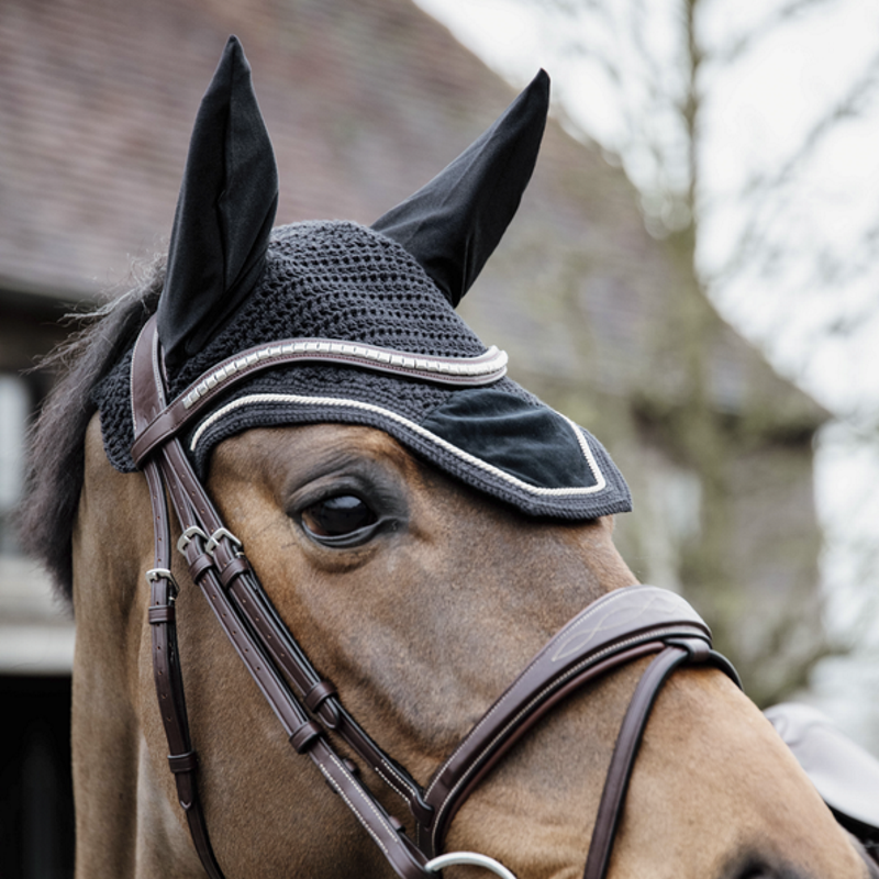 velvet Kentucky Basic KENTUCKY HORSEWEAR cheval moncheval.fr