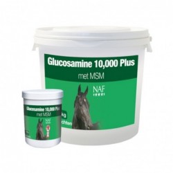 Glucosamine 10 000 plus...