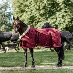 Couverture présentation cheval Velvet Kentucky 160 - Licol Velvet Offert