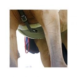 Sheepskin Stud Girth sangle bavette en cuir et mouton chevaux Kentucky