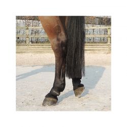 Protège-paturons chevaux par 2 Kentucky - KENTUCKY HORSEWEAR - Cloches, protège  glomes 