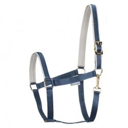 Licol Dublin Padded cheval Bucas