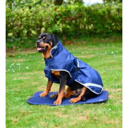 Tapis therapy chien bucas 816
