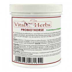 Probio Horse probiotiques cheval pot 600 g Vital Herb